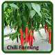 Download Chili Farming For PC Windows and Mac 1.0