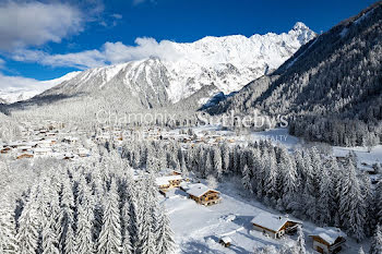 chalet à Argentiere (74)