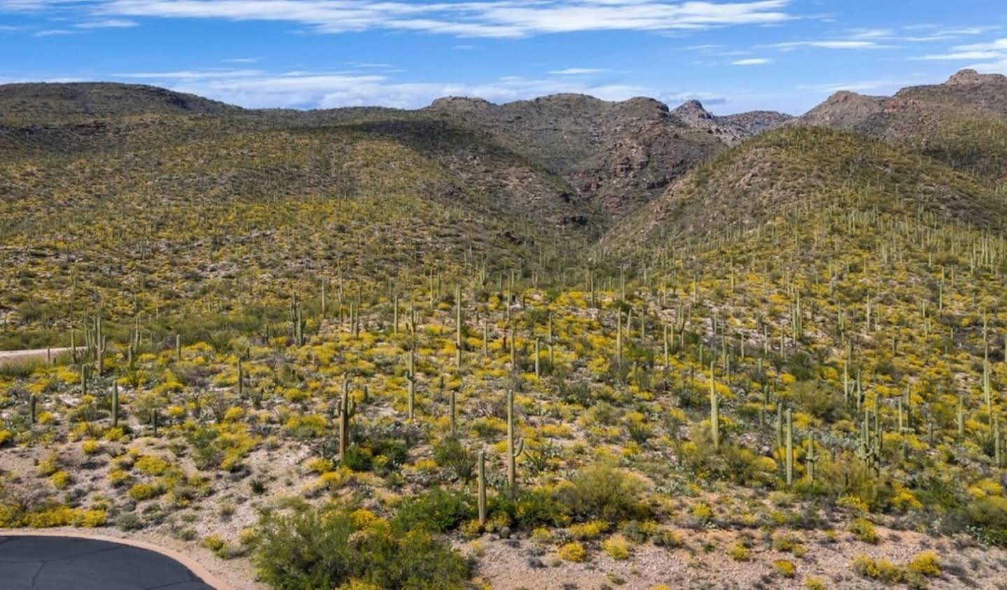 Land Tucson