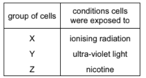 Gene mutations