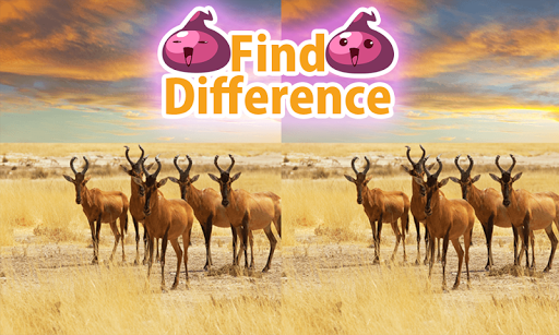 Find Difference 29