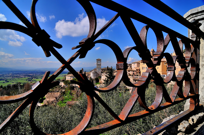 Assisi di vitomaso