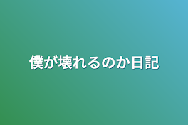 僕が壊れるのか日記