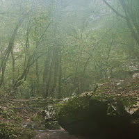 Silenzio è autunno di 