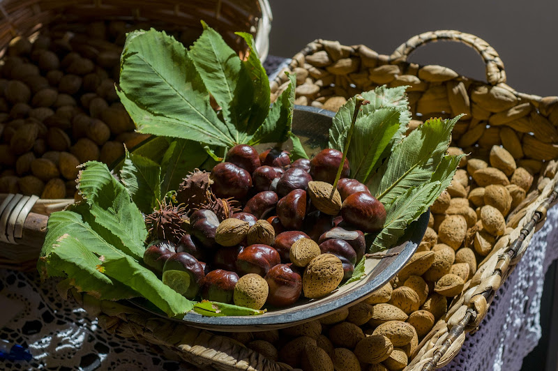 I nuovi frutti di Libero