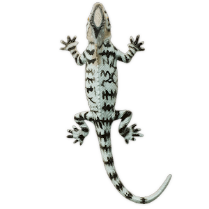 Lizard.apk 1.5