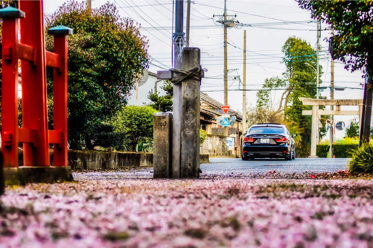 LSのdiscover_ct・DISCOVER CARTUNE・桜・鳥居・小山市に関するカスタム事例の投稿画像2枚目