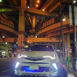 C-HR NGX10