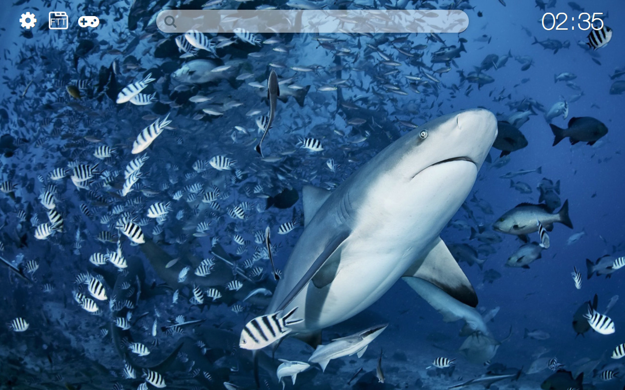 Sharks HD new free tab theme Preview image 5