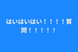 はいはいはい！！！！質問！！！！！