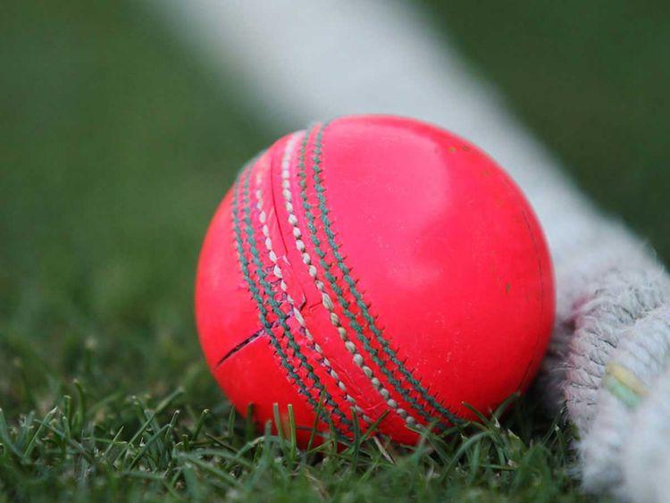 Why day-night games are the future of Test cricket. All you want to know  about pink-ball cricket | Special-reports – Gulf News