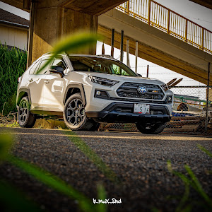 RAV4