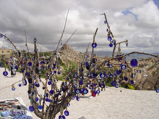 L'albero degli occhi di simona_ravizza