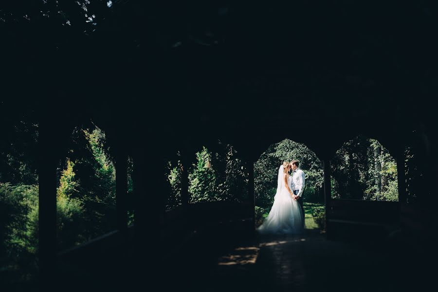 Fotógrafo de casamento Lyubov Konakova (lyubovkonakova). Foto de 30 de outubro 2016