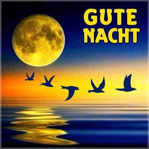 Download Guten Abend Gute Nacht Bilder Fur Whatsapp 21 Free For Android Guten Abend Gute Nacht Bilder Fur Whatsapp 21 Apk Download Steprimo Com