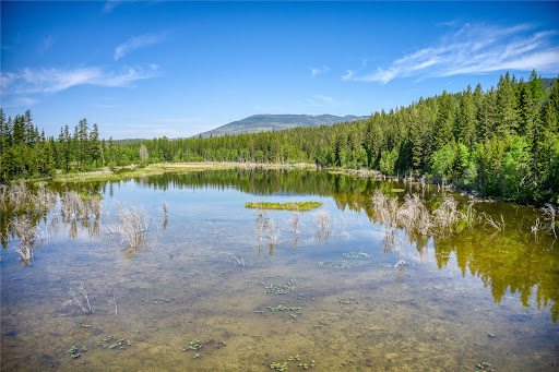 Terrain 3