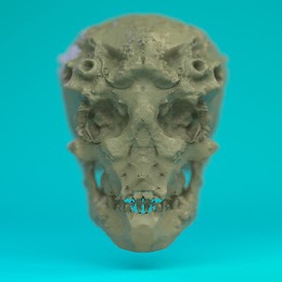 Skull Golem
