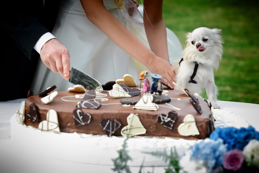 Fotografo di matrimoni Ben Porru (bensfoto). Foto del 26 aprile 2016