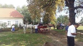 Jákó Szüreti Felvonulás 2017