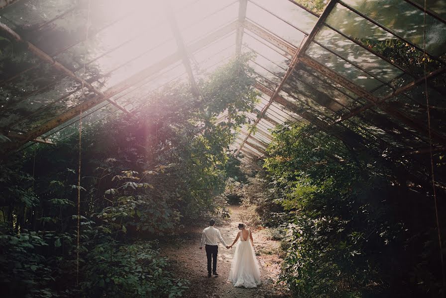 Fotografo di matrimoni Paweł Woźniak (woniak). Foto del 30 agosto 2018