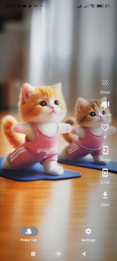 Screenshot PinkyCat - Cat Wallpaper