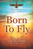 Born To Fly cover