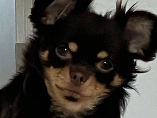 SAM42のプロフィール画像