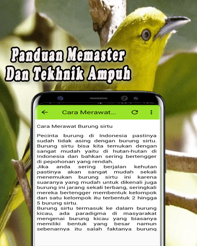 Download Suara Burung Sirtu Pikat Mp3 Offline Free For Android Suara Burung Sirtu Pikat Mp3 Offline Apk Download Steprimo Com