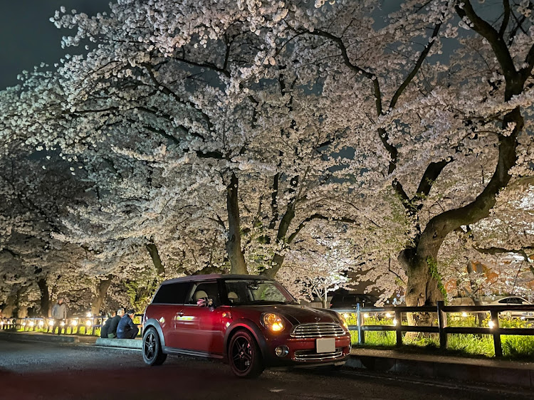 の投稿画像3枚目