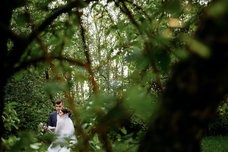 Wedding photographer Dmitriy Shaytura (bamboo). Photo of 16 February 2020