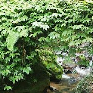 大山背客家人文生態館