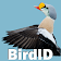 BirdID icon