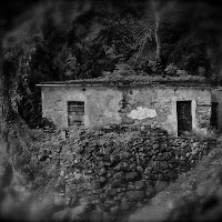 La casa nel bosco di 