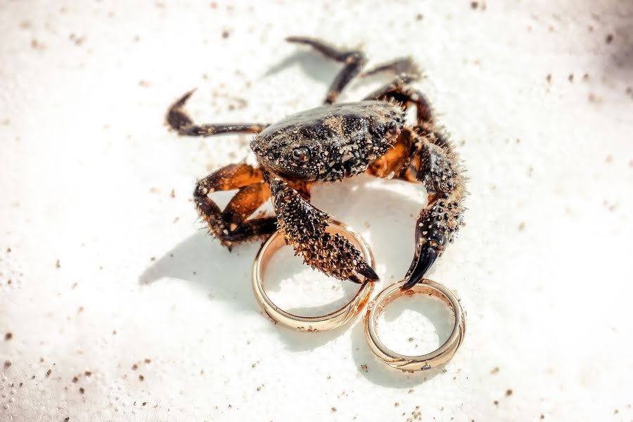 Fotógrafo de casamento Alessandro Spagnolo (fotospagnolonovo). Foto de 17 de outubro 2019