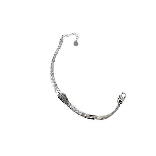 Title 2, Simple Snake Bones Chain Bracelet for Women wit...