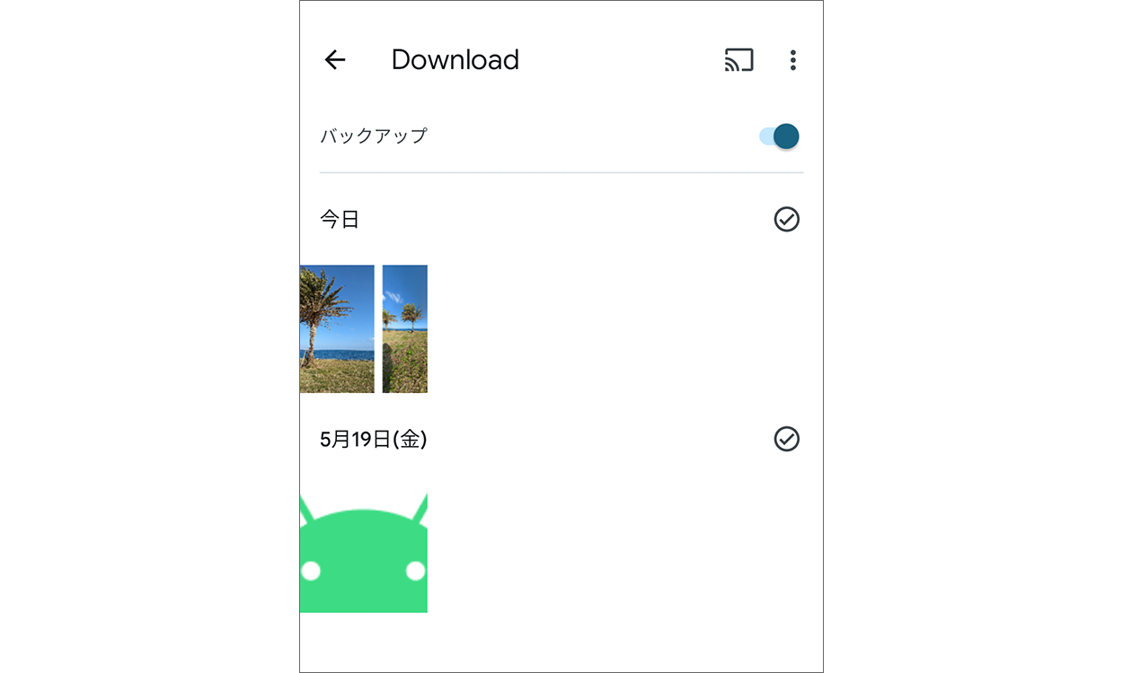 [Download] 内のバックアップをオンにした画面