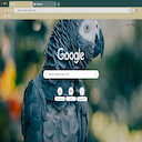 Gray Parrot- themeforchrome