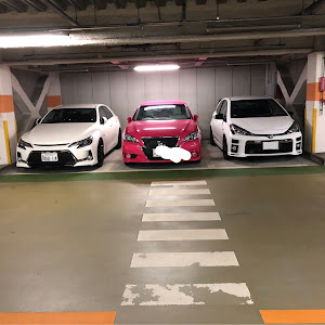 ヴィッツ