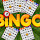 Bingo Revealer