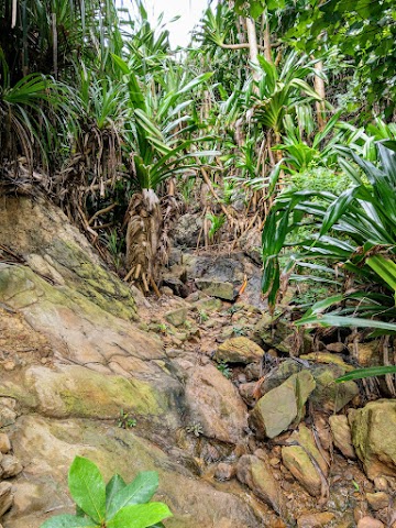 Bukit Berakit Hiking Trailhead to Kapas Island Resort