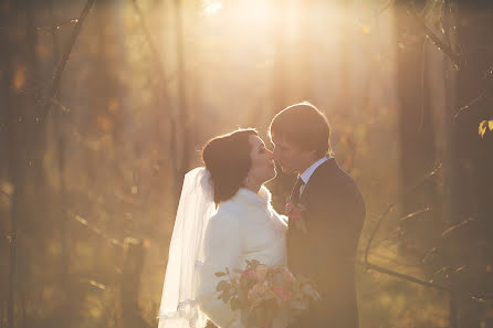 Photographe de mariage Dmitriy Zenin (dmitriyzenin). Photo du 2 novembre 2015