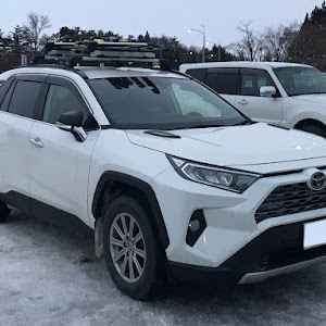 RAV4 MXAA54