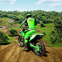 Icon Dirt Bike Motocross MX Bikes