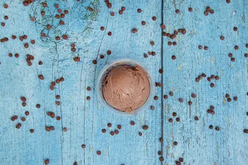 Amul Ice Cream Parlor photo 