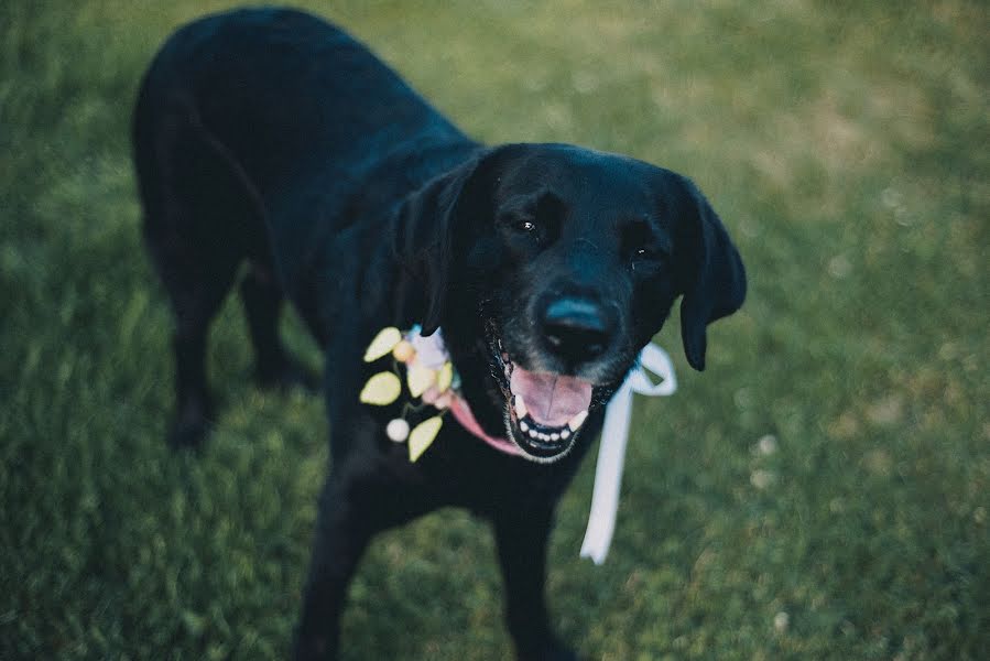 Vestuvių fotografas Lilika Strezoska (lilika). Nuotrauka 2018 rugsėjo 25