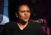 Agriculture, land reform and rural development minister Thoko Didiza said the government would in the next two weeks issue advertisement notices for land in seven provinces. 