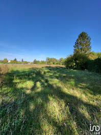 terrain à Villemandeur (45)