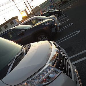 トールカスタム