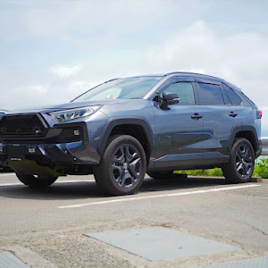 RAV4 MXAA54