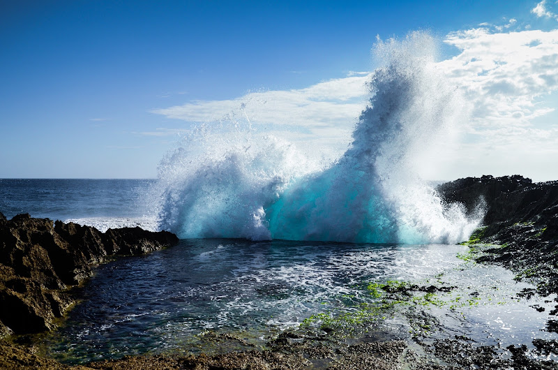 Power of nature di ignacio_vihaio